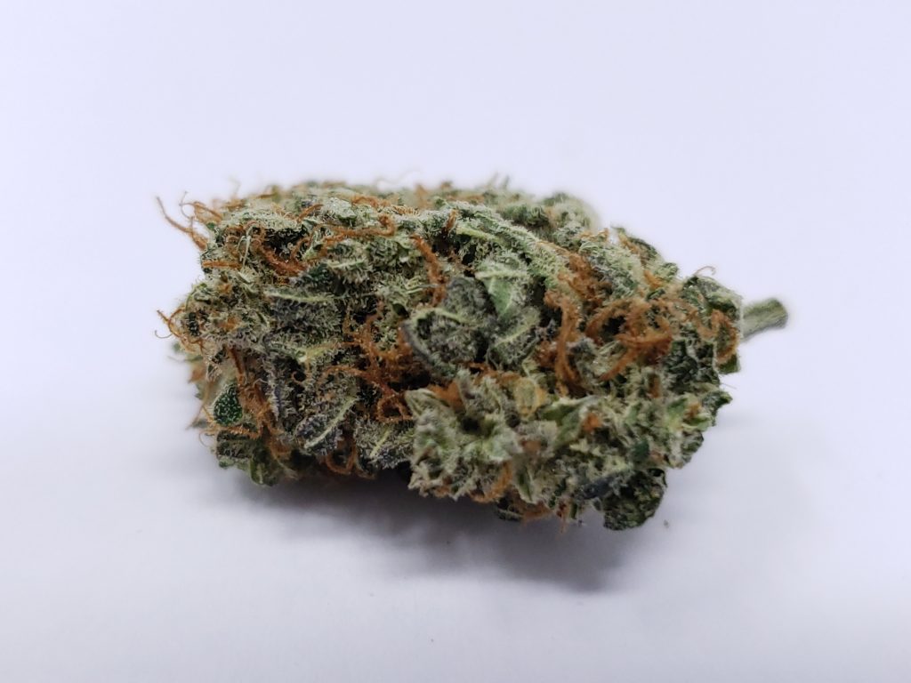 New Products, BuyWeed247