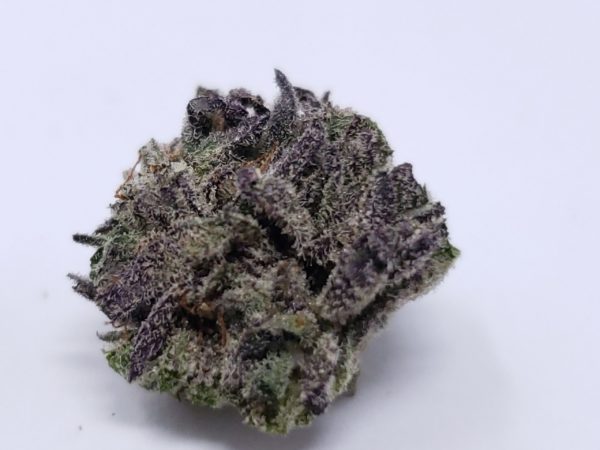 Purple Urkle