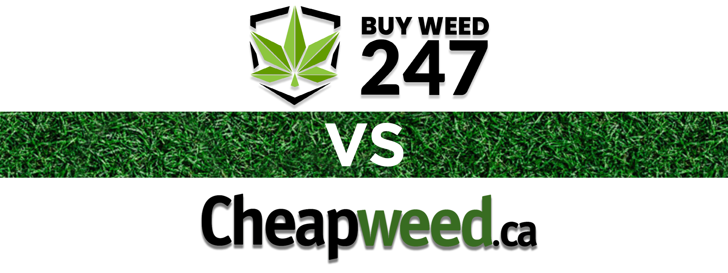 BuyWeed247 vs Cheapweed.ca, BuyWeed247