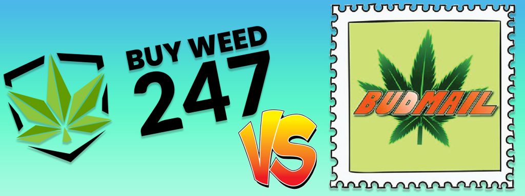 BuyWeed247 vs BudMail