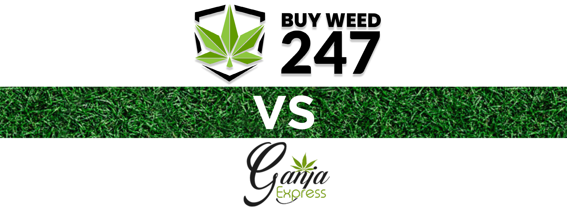 BuyWeed247 vs GanjaExpress, BuyWeed247