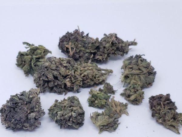 Purple Dream