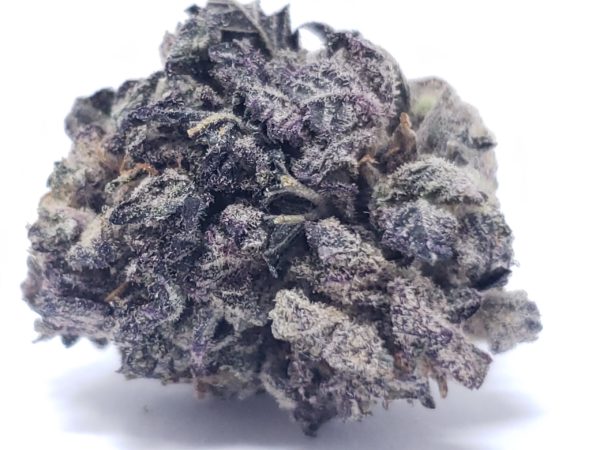 Purple Dream