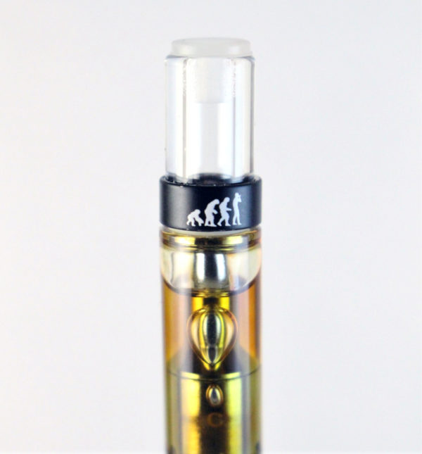 Evolve Disposable Vape Pens THC Distillate