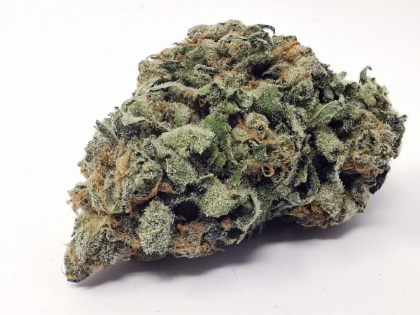 Kootenayz Exoticz - Grape God AAAA+