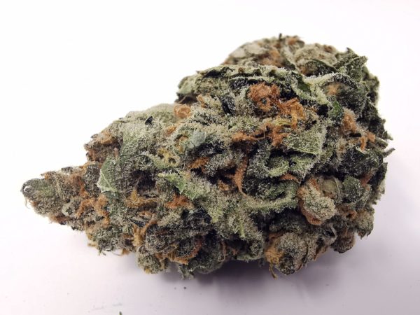 Kootenayz Exoticz - Grape God AAAA+