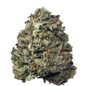 Purple Kush