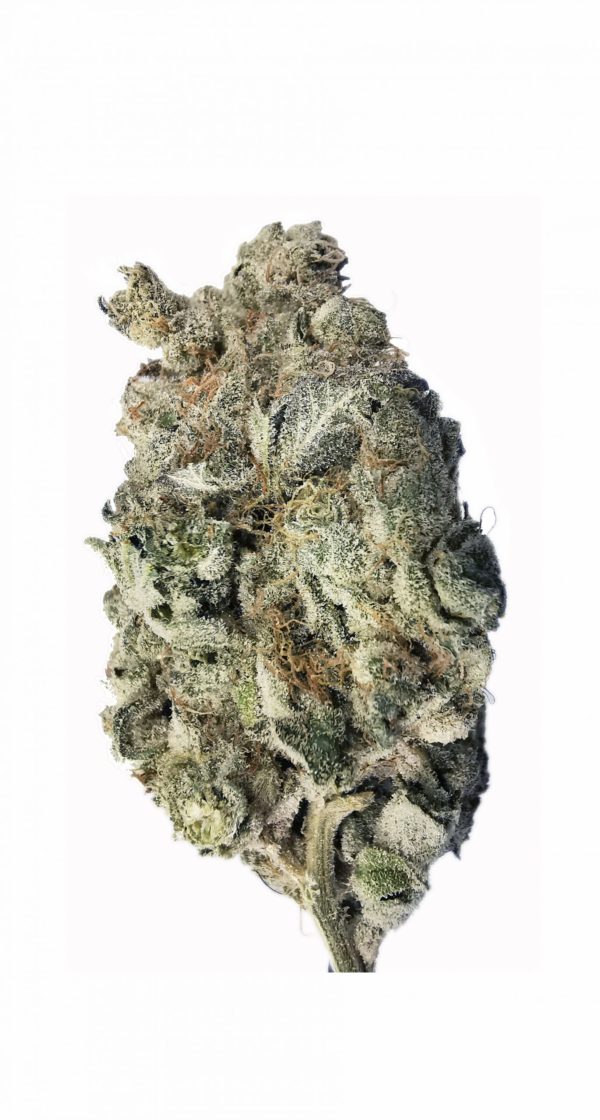 Kootenayz Exoticz - Blueberry Grapevine AAAA+
