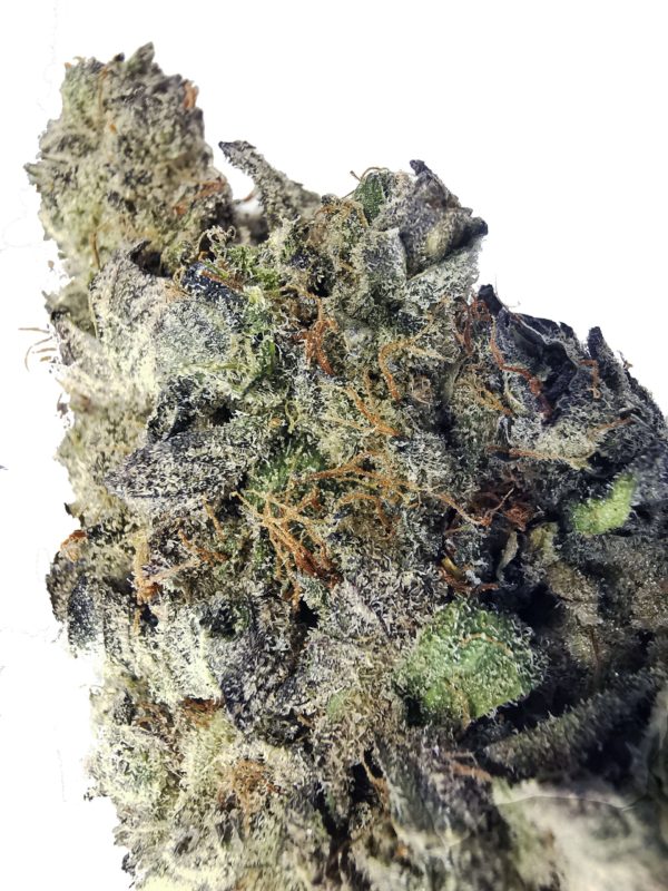 Kootenayz Exoticz - Blueberry Grapevine AAAA+