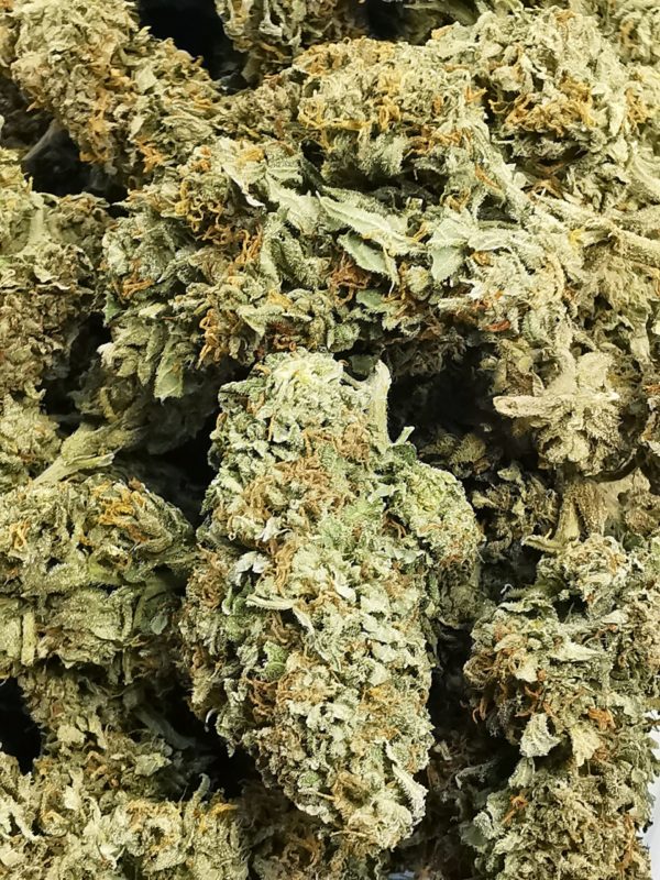 Apricot Kush
