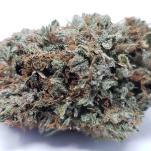 Gorilla Glue #5