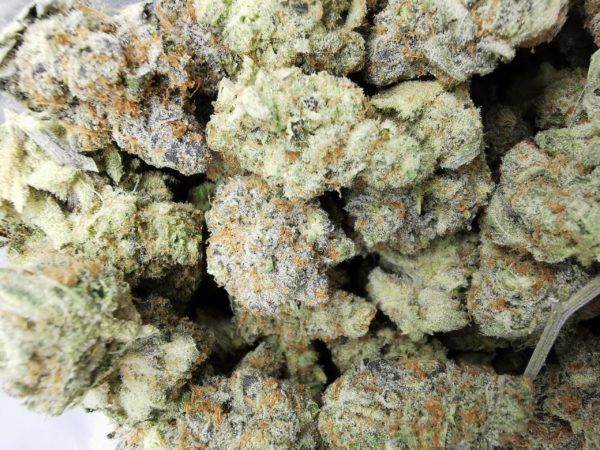 Kootenayz Exoticz - AAAA+ L.S.O. Orange Ade