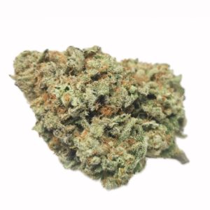 Kootenayz Exoticz - AAAA+ Miracle Alien Cookies