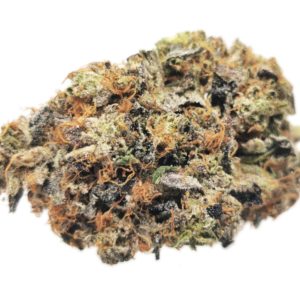 AAA+ Death Bubba
