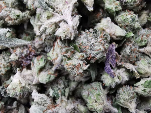 Green Valley's AAAA Pink Tuna Smalls