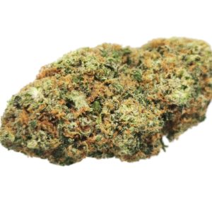 AAAA Moby Dick