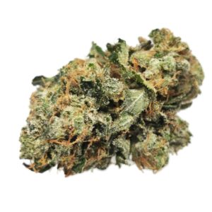 AAA+ Purple Kush