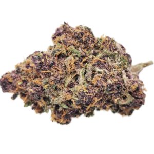 Kootenayz Exoticz - AAAA L.S.O. Triceratrops