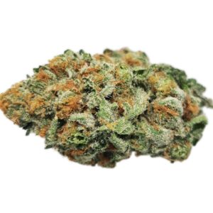 Kootenayz Exoticz - AAAA Orange Push Pop