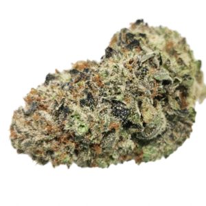Kootenayz Exoticz - AAAA+ Sherbetto