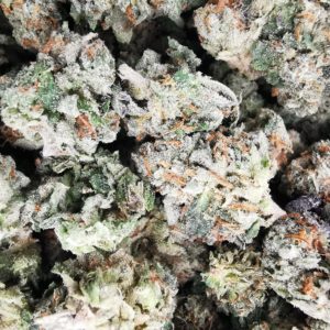 AAAA Orange Cookies Smalls