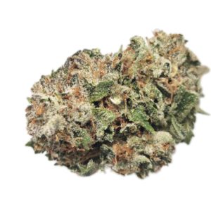 AAA+ Alien Cookies