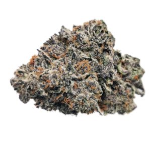 Kootenayz Exoticz - AAAA+ L.S.O. Sunset Sherbert