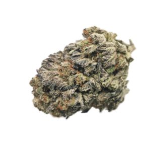 AAA+ Sour Breath