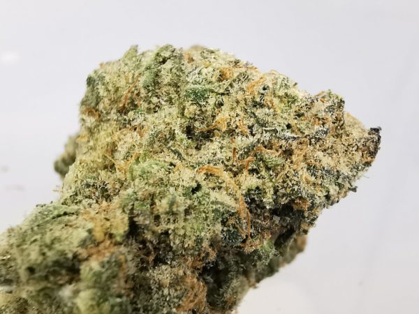 Kootenayz Exoticz - AAAA Phantom Cookies