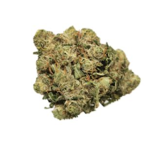 AAA+ Purple Kush
