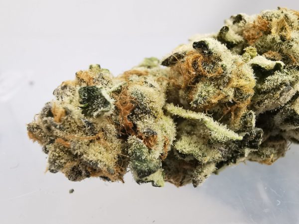 Kootenayz Exoticz - AAAA Blackberry Cheesecake