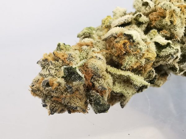 Kootenayz Exoticz - AAAA Blackberry Cheesecake