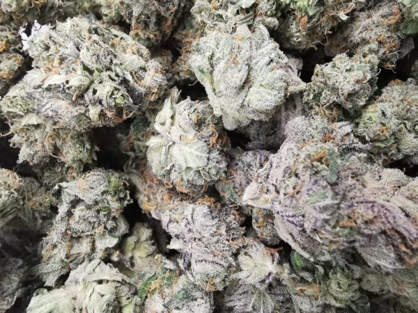 Kootenayz Exoticz's AAAA Purple Ayahuasca Smalls