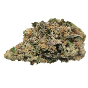 Kootenayz Exoticz's AAAA+ Banana OG