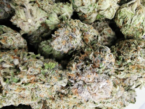 AAAA MK Ultra