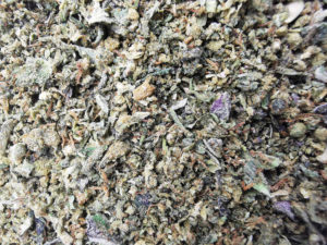 Best Indica Weed Strains in Canada 2021, BuyWeed247