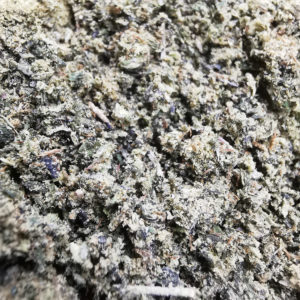 Green Valley's AAAA+ Miracle Alien Cookies Trim