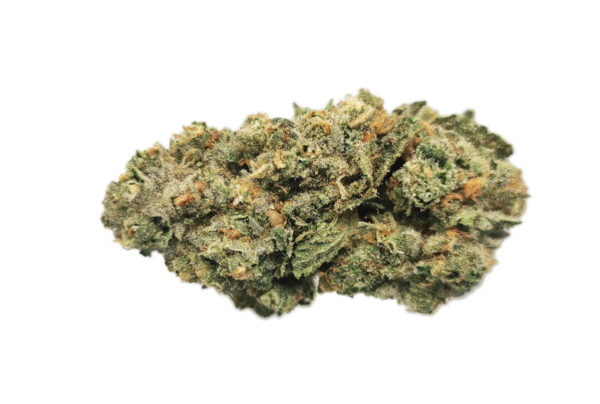 Kootenayz Exoticz's AAAA+ Polynesian Thin Mints