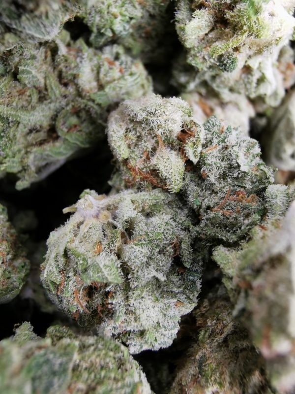 Kootenayz Exoticz's AAAA Black Indica Smalls