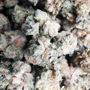 AAA+ Gelato Smalls