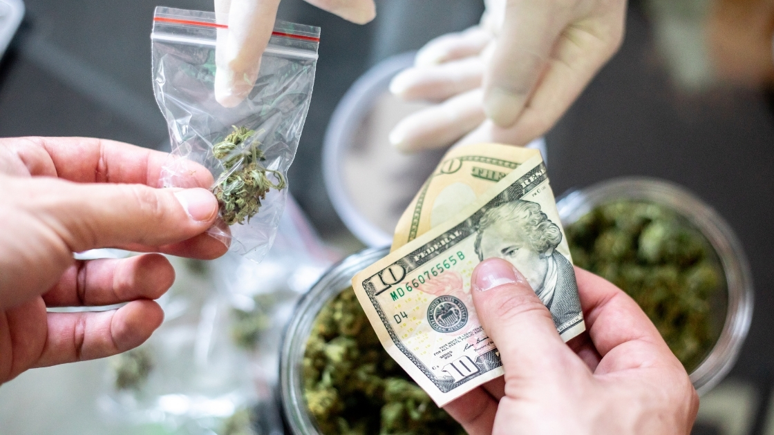 Buy Weed 247 vs. Cheap Weed: What’s the Best Bud for you Buck?, BuyWeed247