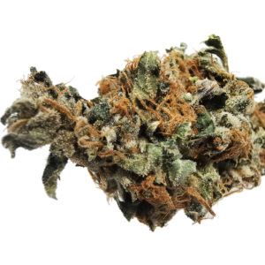 kings kush