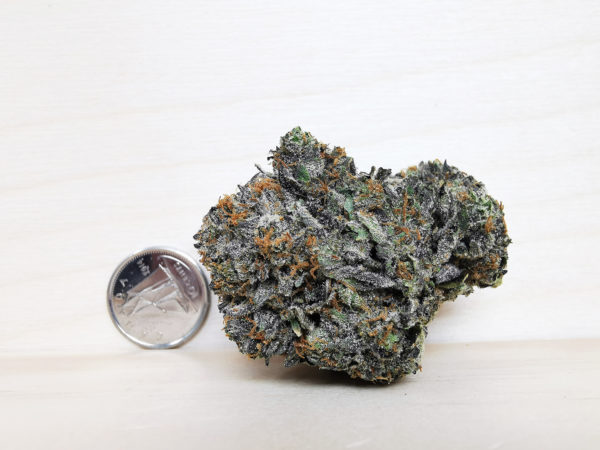 bubba rockstar