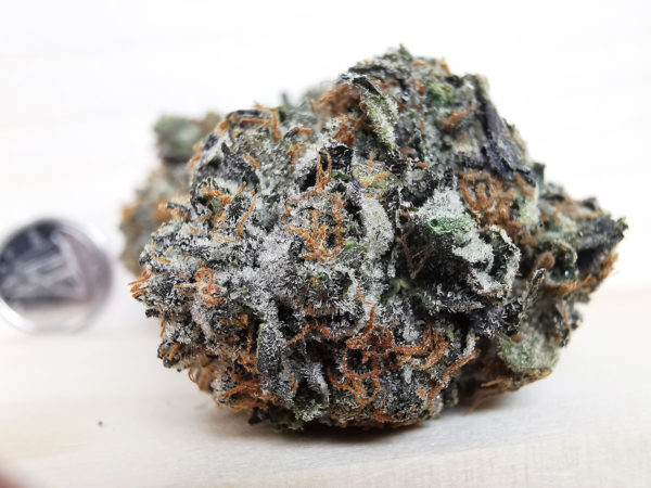 bubba rockstar