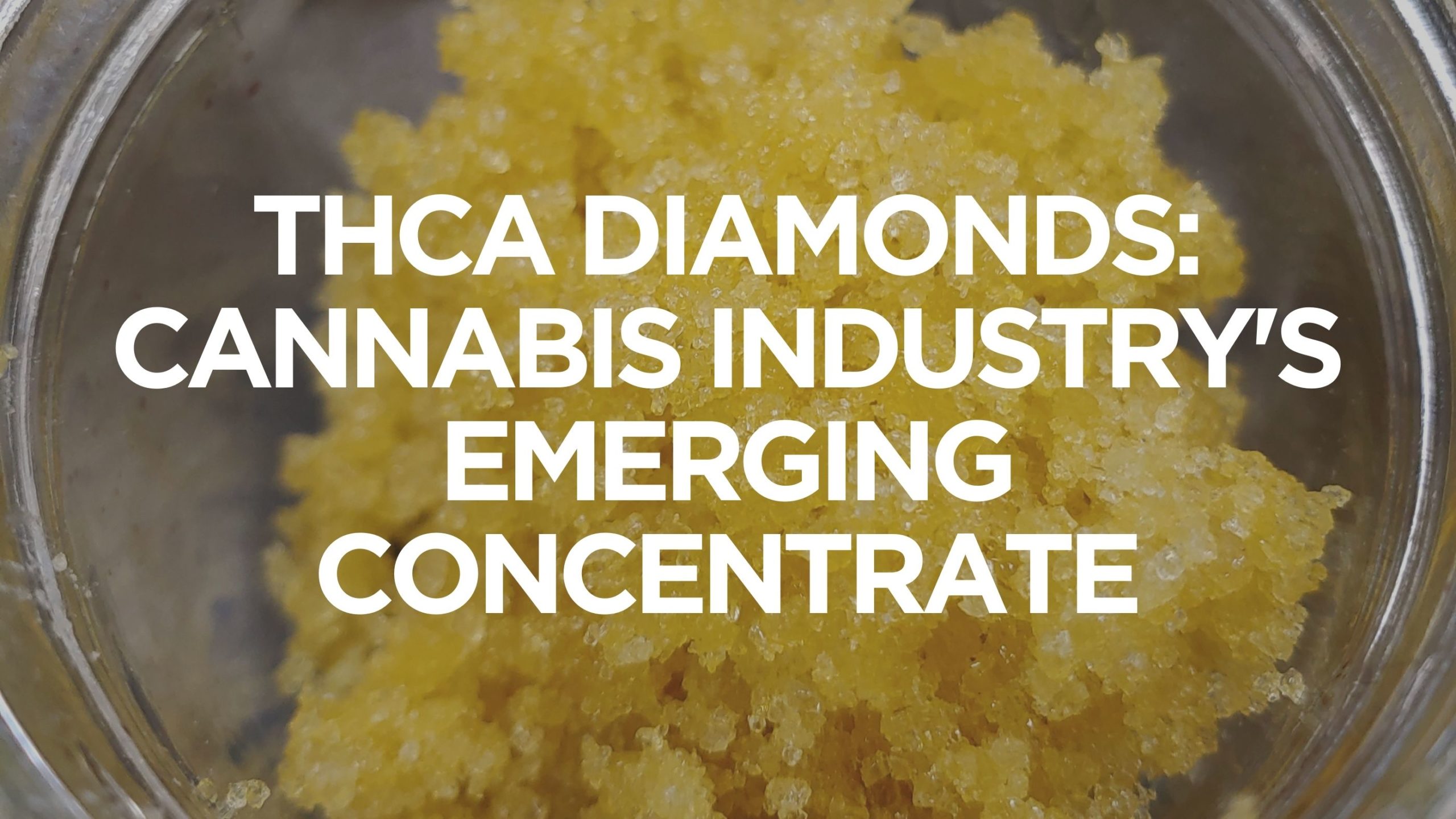 THCA Diamonds: Cannabis Industry&#8217;s Emerging Concentrate, BuyWeed247