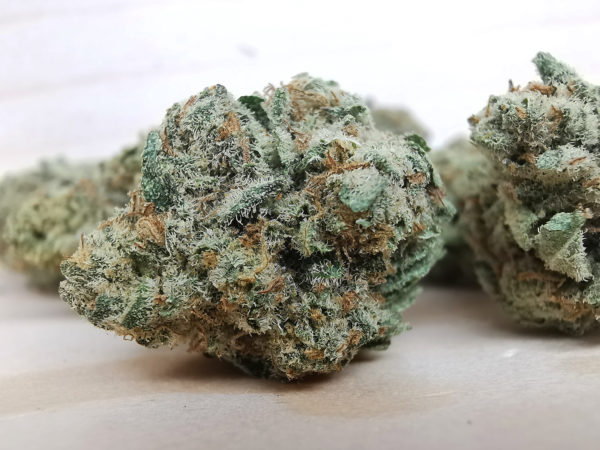 peyote cookies