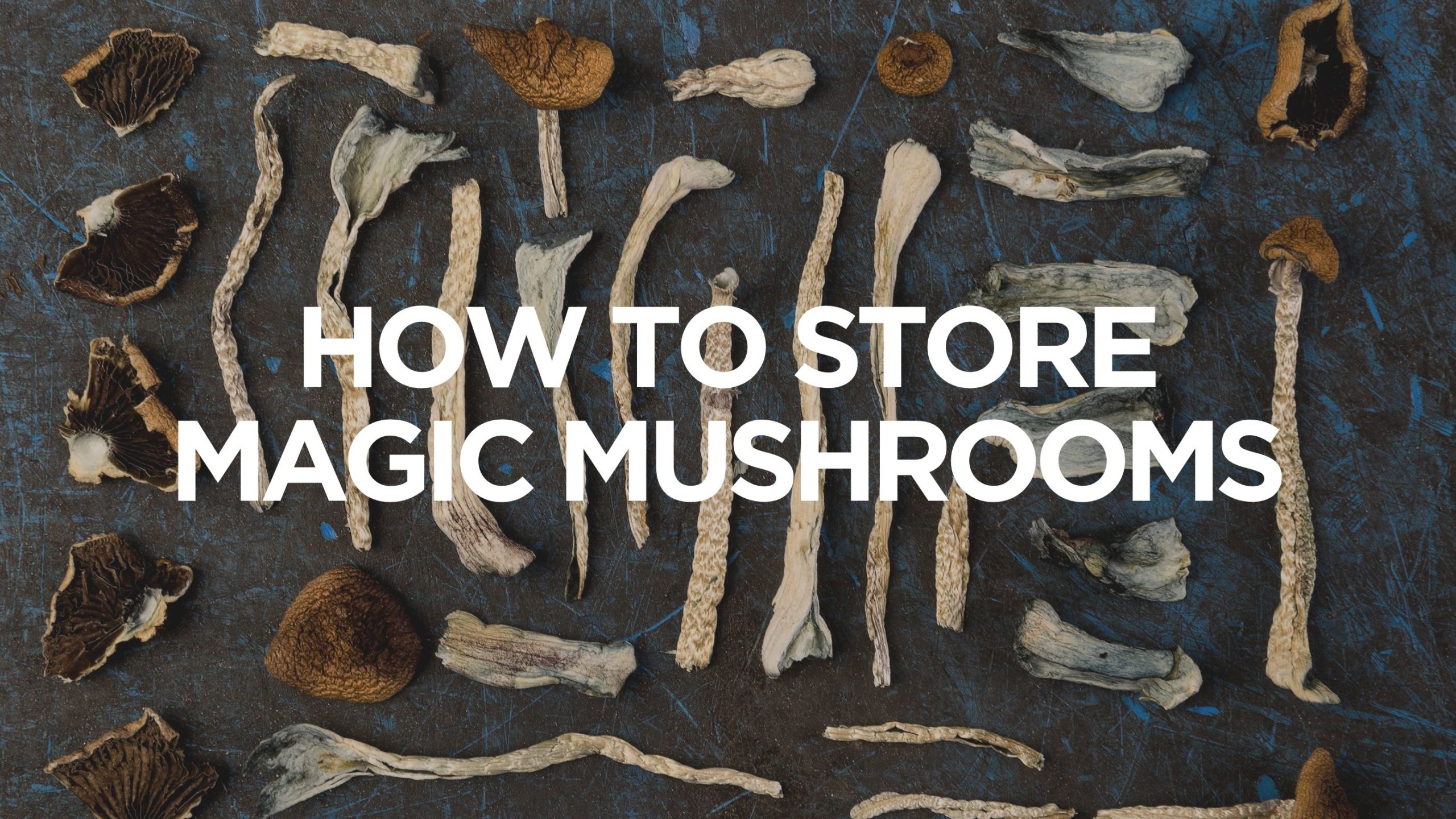 How to Store Magic Mushrooms, BuyWeed247