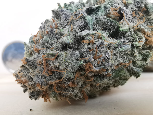VIP Flower Combo - 10LB - Image 3
