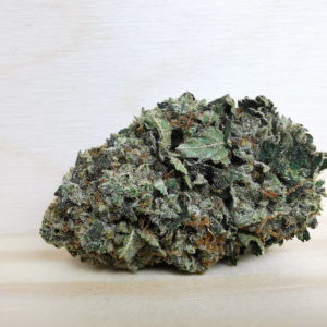 hindu kush