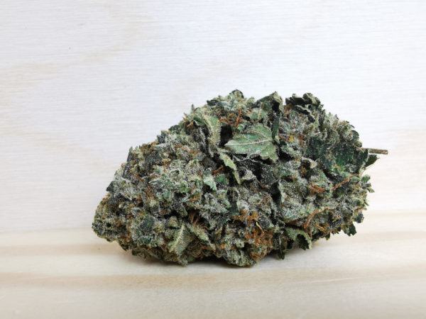 hindu kush